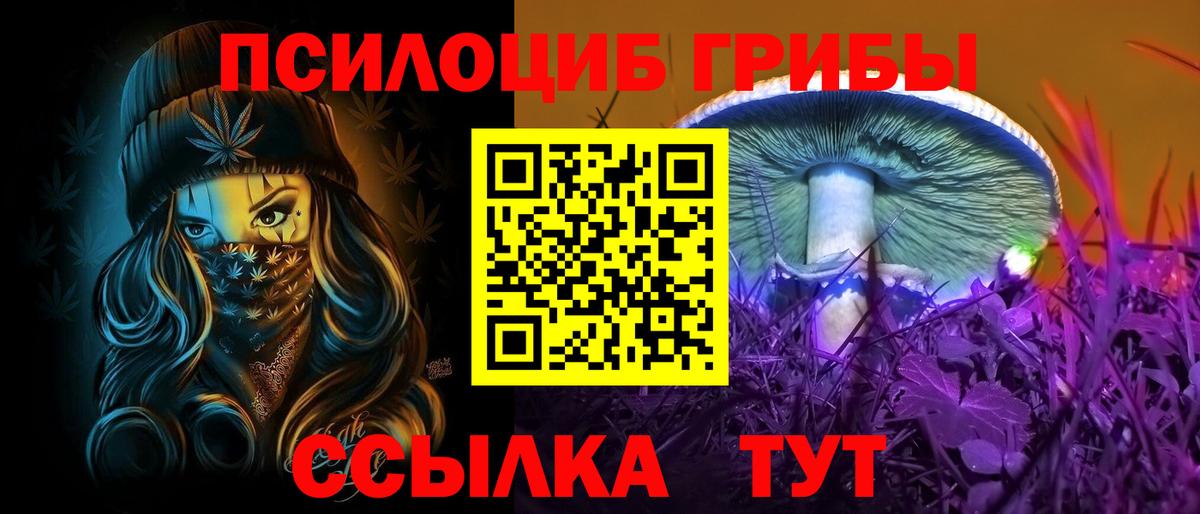 Псилоцибиновые грибы Cubensis Буйнакск