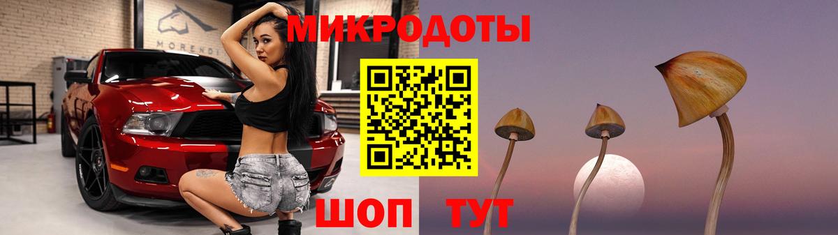 Псилоцибиновые грибы Psilocybe  Вход с VPN  Буйнакск 